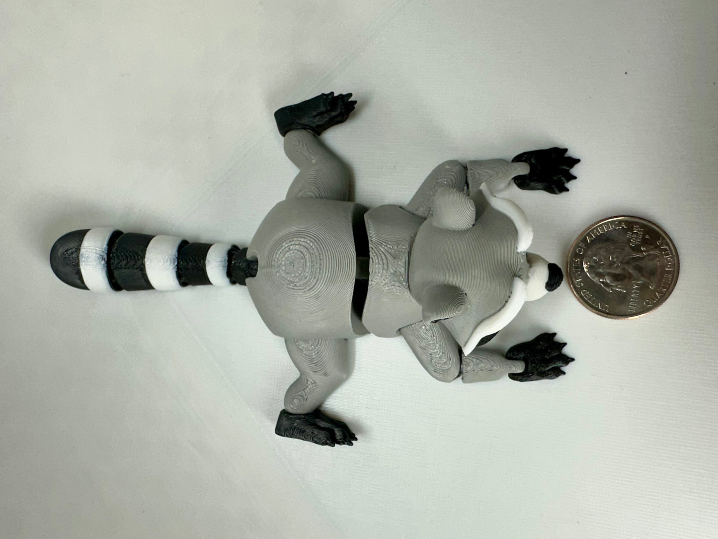 Flexy Raccoon